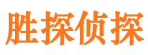 武陵源侦探公司